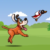 Duck Hunter